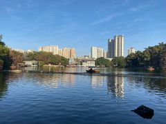 -荔湾湖公园