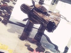 -上海怡沁园度假酒店