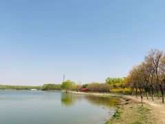 -大兴滨河森林公园