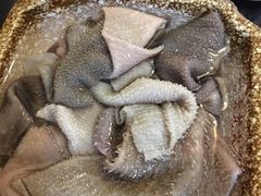 毛肚-大龙火锅(老店)