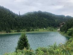 -武陵山森林公园