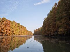 -上海海湾国家森林公园