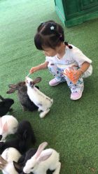 -萌宠亲子动物乐园(槐房万达店)