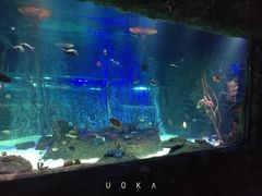 -沈阳海洋探索中心