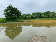 -金谷域澳洲庄园