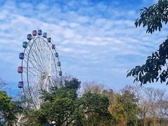 -塔子山公园