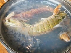 -凯华海鲜火锅·传承三十六年
