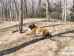 -北京野生动物园