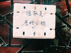 -小洲村