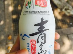 -劈柴院