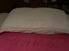 -世外桃源水疗会(皇庭彩园店)