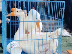 -南门头上美食街