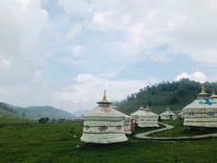 -关山草原
