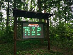 -黄海国家森林公园