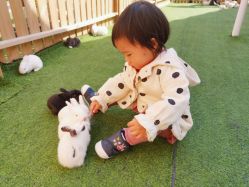 -萌宠亲子动物乐园(槐房万达店)