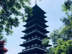 -宜兴龙背山森林公园