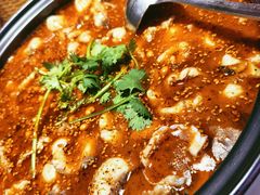 -光海·乡记酸菜鱼·始于1996(花园路店)
