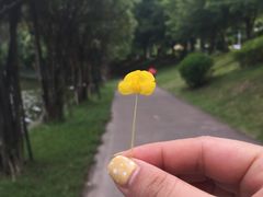 -三水森林公园