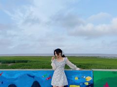 -南汇嘴观海公园