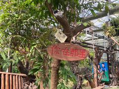 -呀路古热带植物园