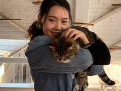 -喵屿·大理花园猫咖