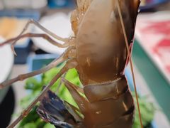 -1718海鲜姿造(苏宁宴请臻选店)