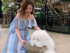 -TrueLove @ Neverland (Husky Cafe)