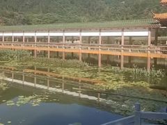 -梅州天地人花园酒店(梅县人民广场店)