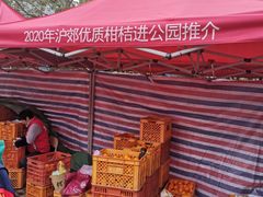 -黄兴公园