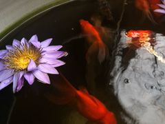 -瓷语堂(上海五维空间创意园店)