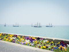 -贡湖湾湿地公园