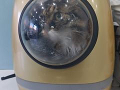 -纳吉亚猫专科动物诊疗中心(蒋宅口分院)