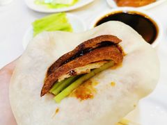 -九花山烤鸭店