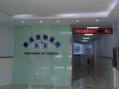 -康成宠物医院24H·CT·核磁共振