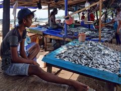 -尼甘布海鲜市场