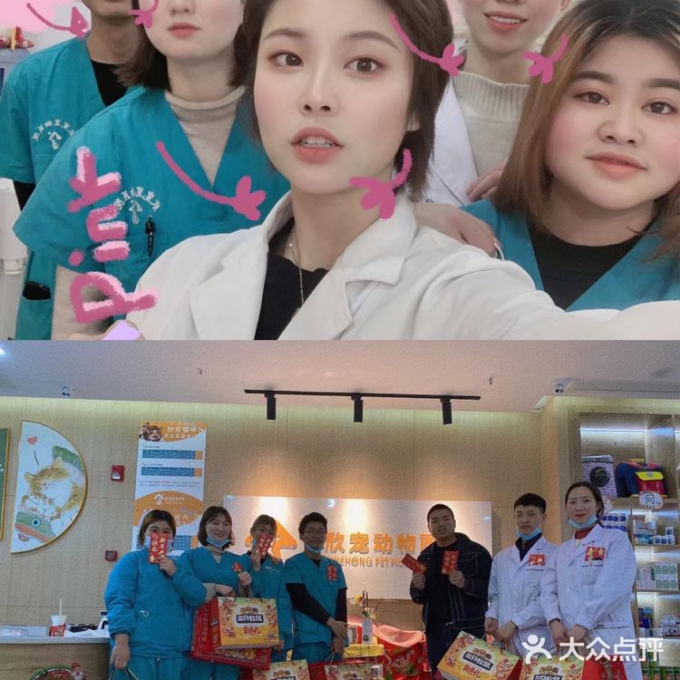 一家有温度的宠物医院🐈欣宠宠物🦮