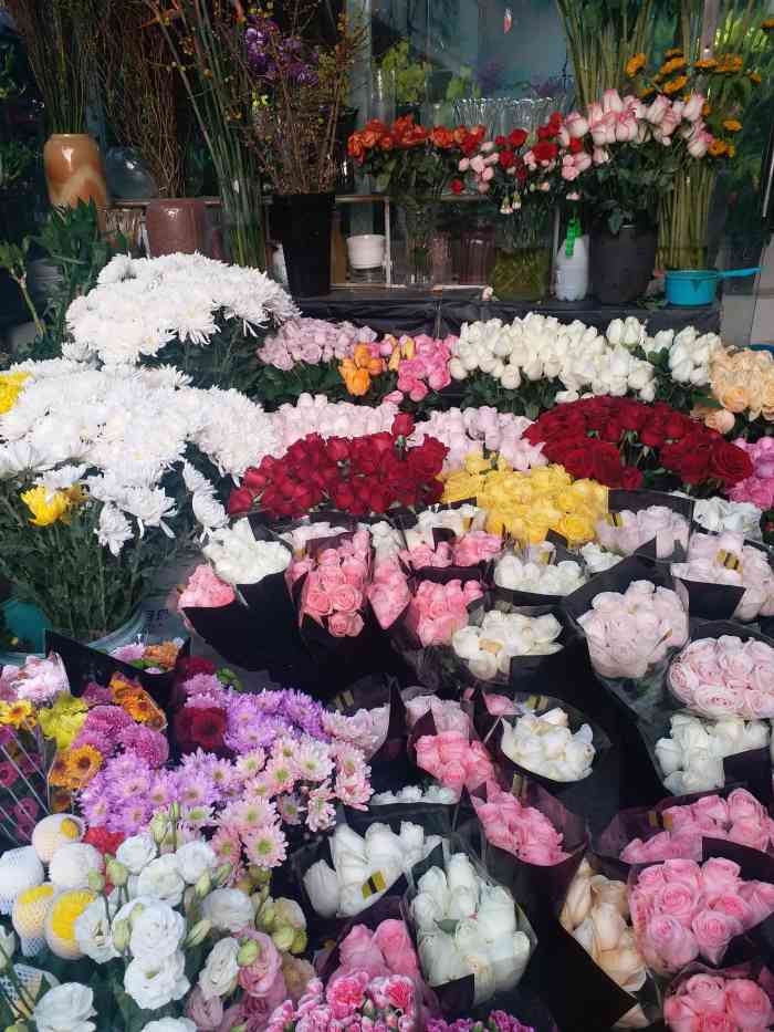 曲阳花鸟市场-"重建后环境是好多了,以前很脏的,地上总是.