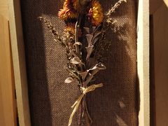 -时光花园(白鹭洲店)