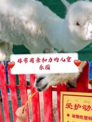 -萌宠亲子动物乐园(槐房万达店)