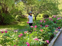 -黑龙江省森林植物园