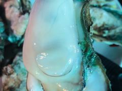 桑拿生蚝-鱼醉无骨鱼·中山脆肉鲩(荔湾路店)