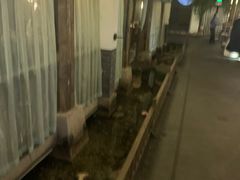 -淀里船宴(卓达店)