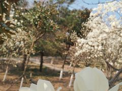 -浮山香苑