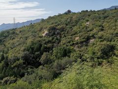 -白水寺森林公园