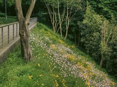 -西湖风景区-江洋畈生态公园