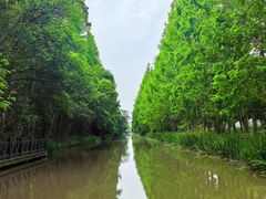 -上海长兴岛郊野公园