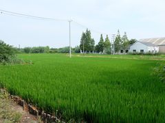-广富林郊野公园