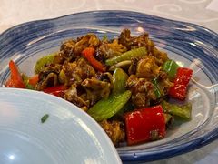 孜然鱿鱼脖-渔娘渔家丹东海鲜(东直门店)