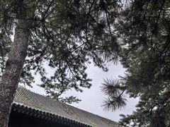 -承德避暑山庄景区