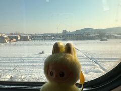 -马志善稀糊爛生熟肉店